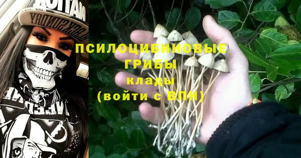 ПСИЛОЦИБИНОВЫЕ ГРИБЫ Абинск