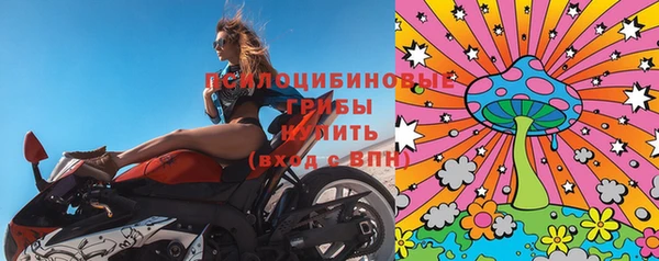 ПСИЛОЦИБИНОВЫЕ ГРИБЫ Абинск