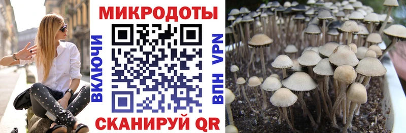 Галлюциногенные грибы прущие грибы  Воронеж 