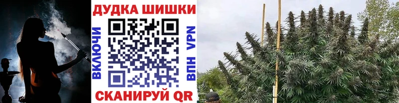 Марихуана VHQ купить сайты Воронеж